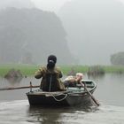 In der Trockenen Halong Bucht