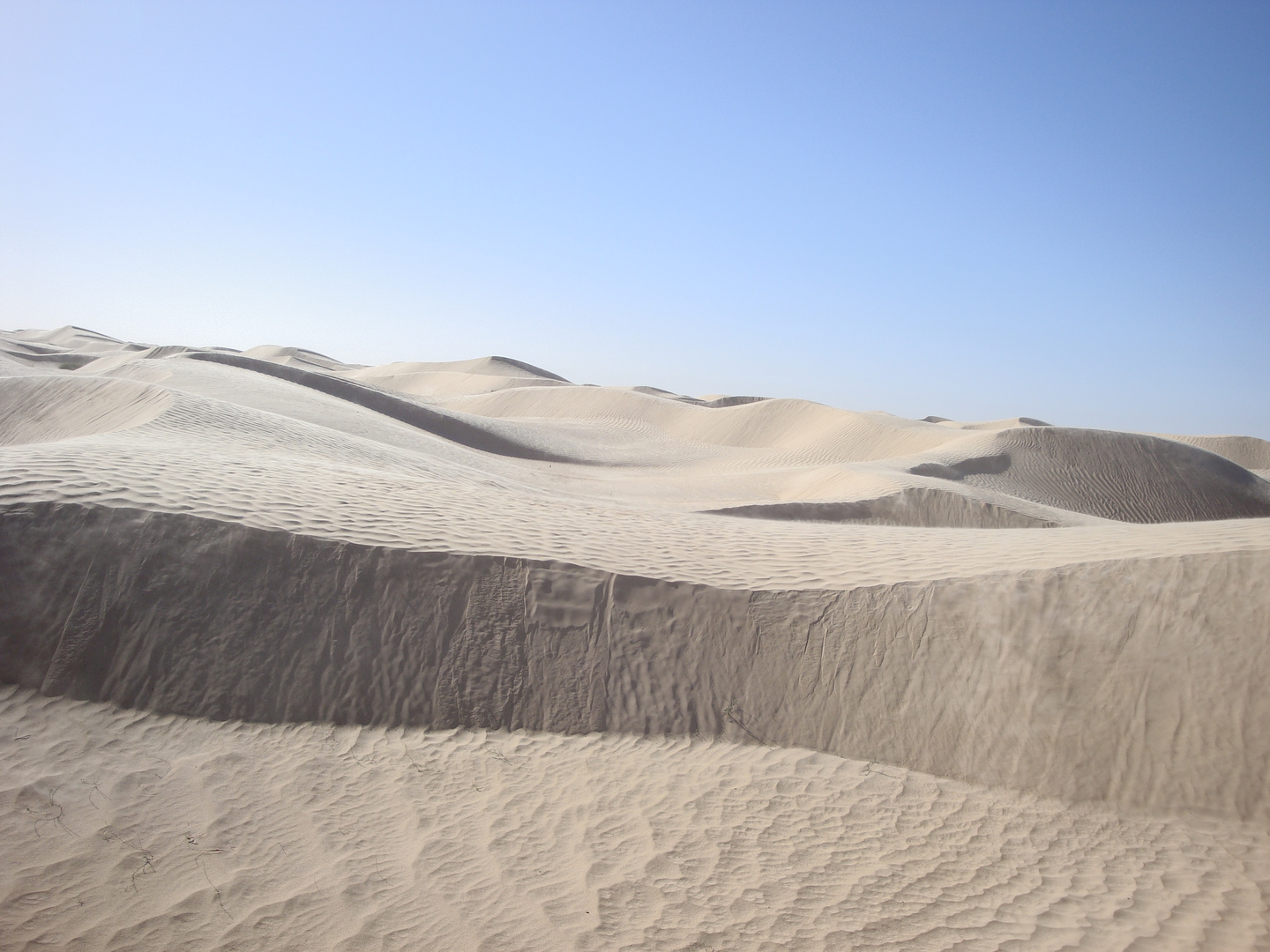 In der tunesischen Sahara, bei Douz