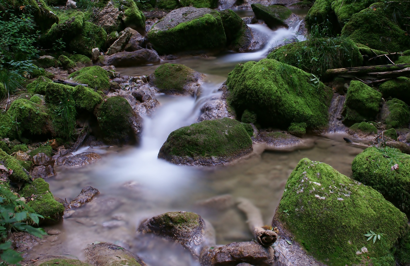 In der Twannbachschlucht