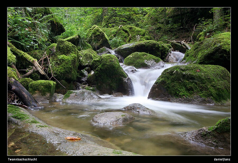 in der Twannbachschlucht