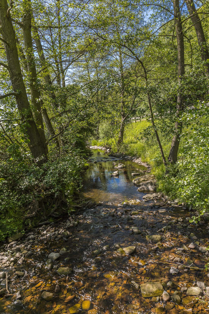 In der Umgebung von Kaufungen