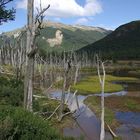 in der Umgebung von Ushuaia