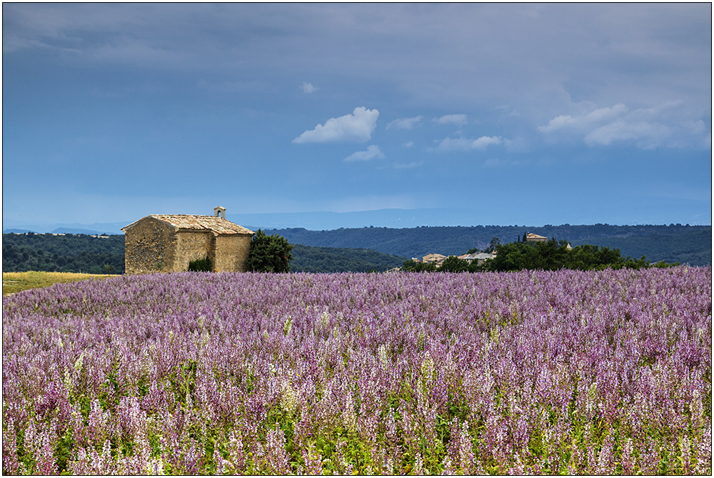 In der Umgebung von Valensole