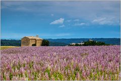 In der Umgebung von Valensole