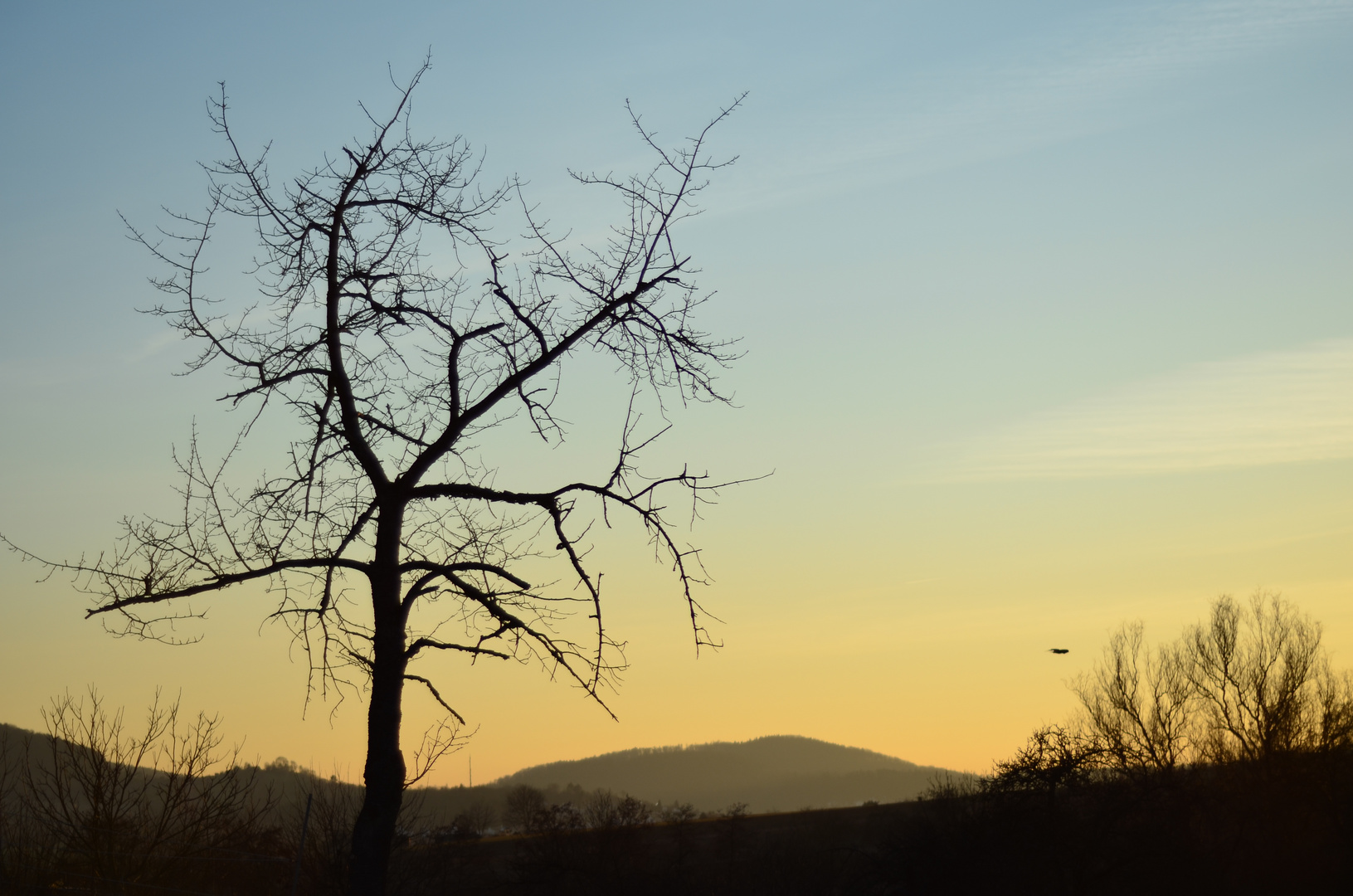 in der untergehenden Sonne