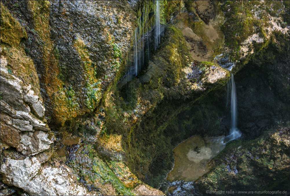 In der Vintgarschlucht