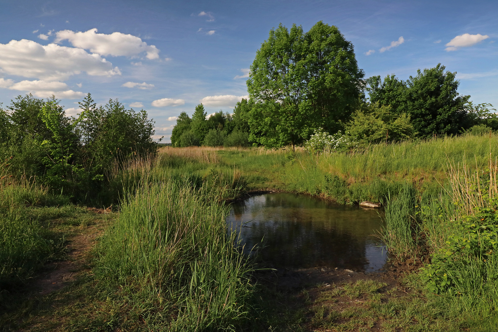 In der Wabeniederung