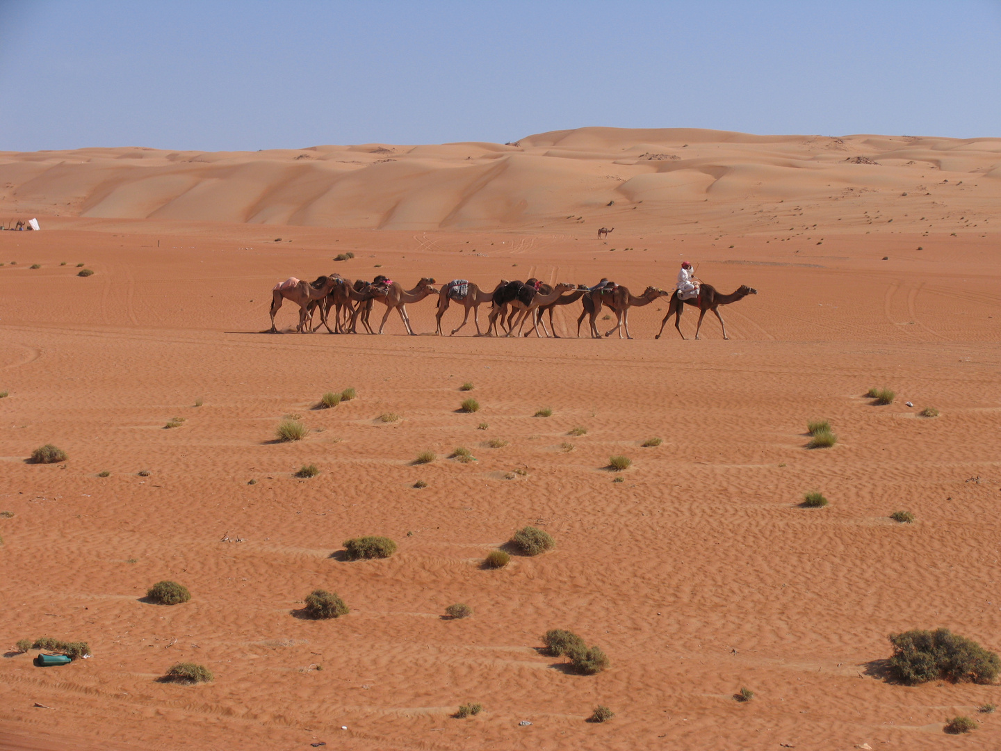 In der Wahiba Sands