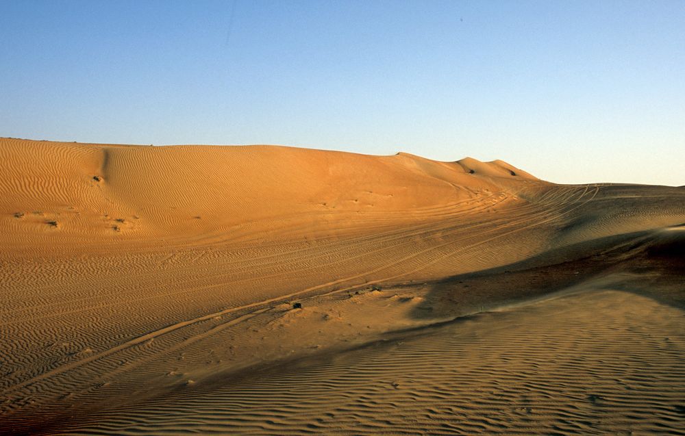 In der Wahiba Sands im Oman