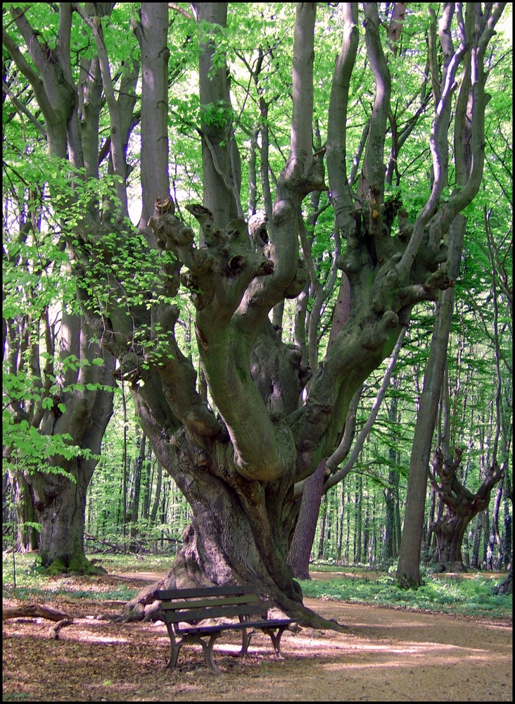 In der Waldau 2 (Bonn-Venusberg)