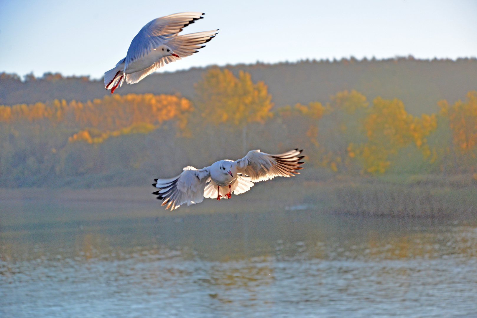 In der Warteposition....