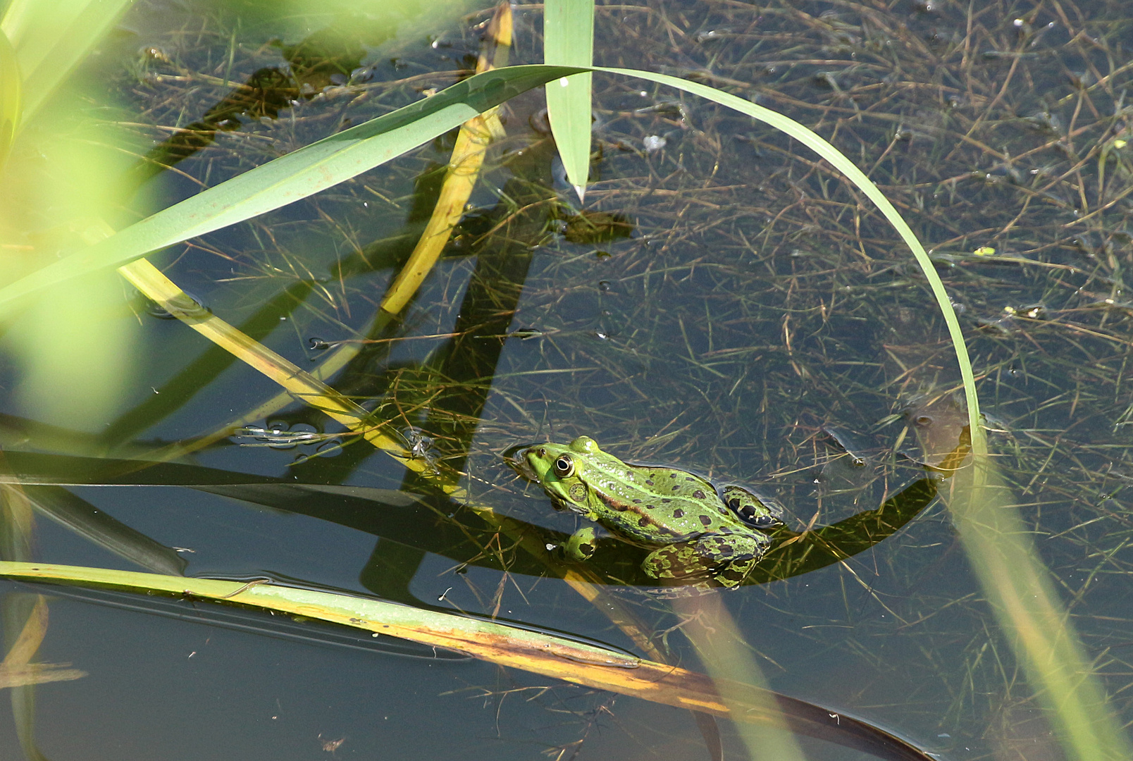 In der Wasser-Achterbahn