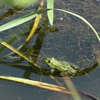 In der Wasser-Achterbahn