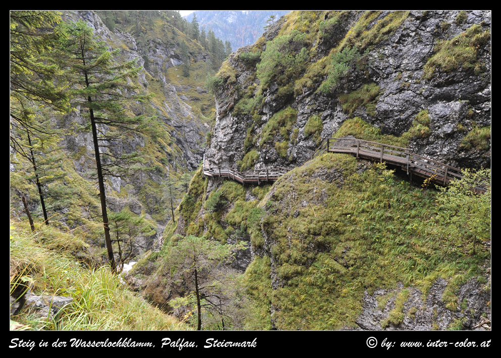 In der Wasserlochklamm