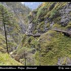 In der Wasserlochklamm