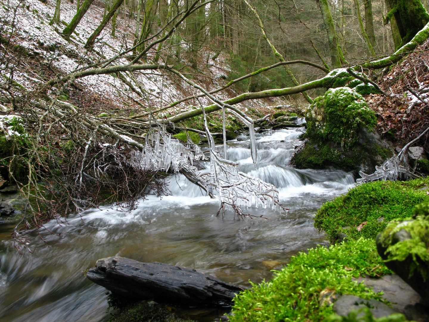 In der Weidelbach