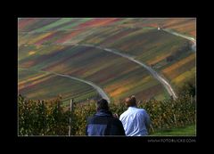 In der Weinarena