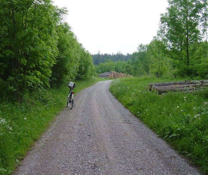 In der Weiter der Natur