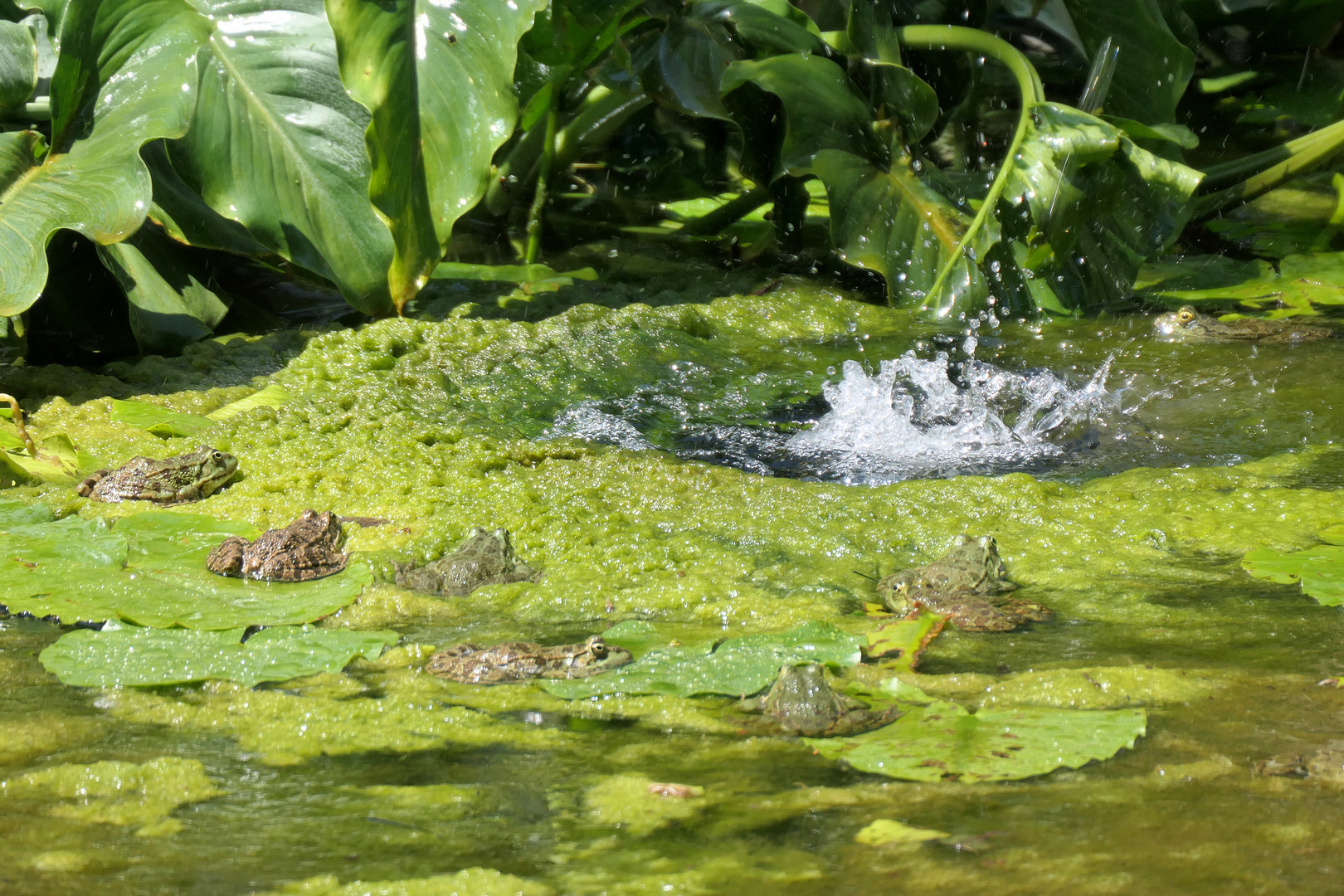 in der Wellness-Oase