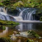 In der Wildbachklamm Buchberger Leite ...