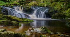 In der Wildbachklamm Buchberger Leite ...