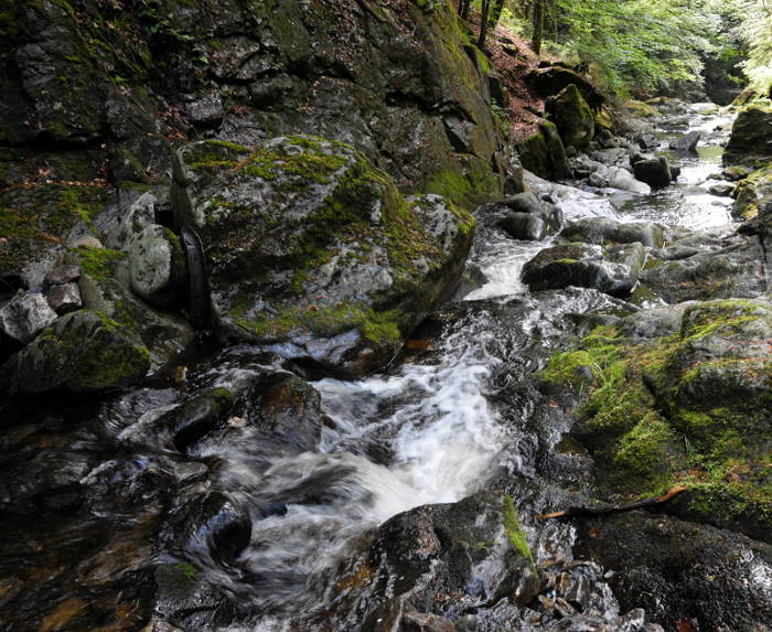 In der wilden Klamm