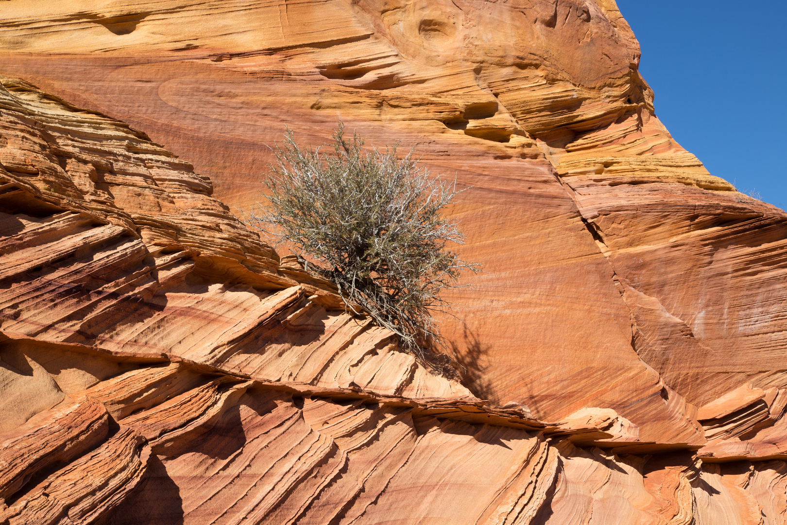 In der Wildnis der Vermilion Cliffs