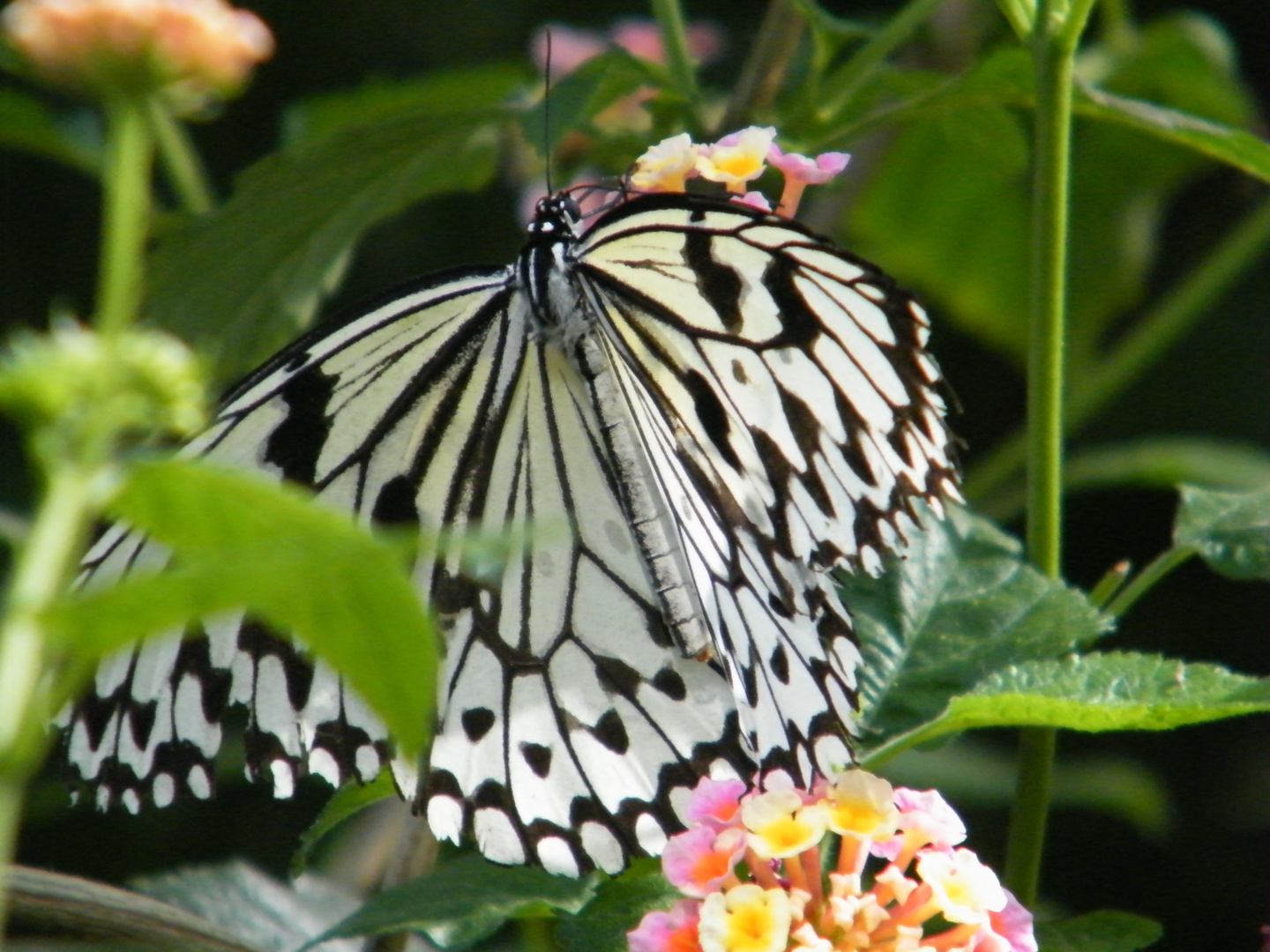 In der Wilhelma Stuttgart