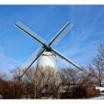 In der Windmühle Betty