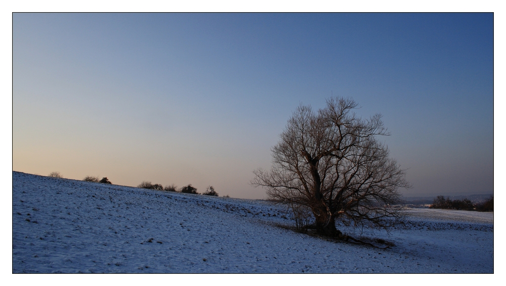 ... in der Winterkälte ...