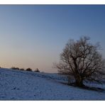 ... in der Winterkälte ...