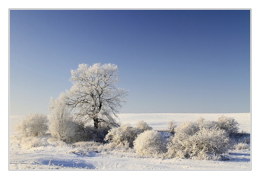 in der Wintersonne ...