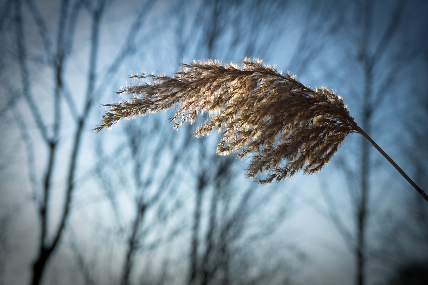 in der wintersonne