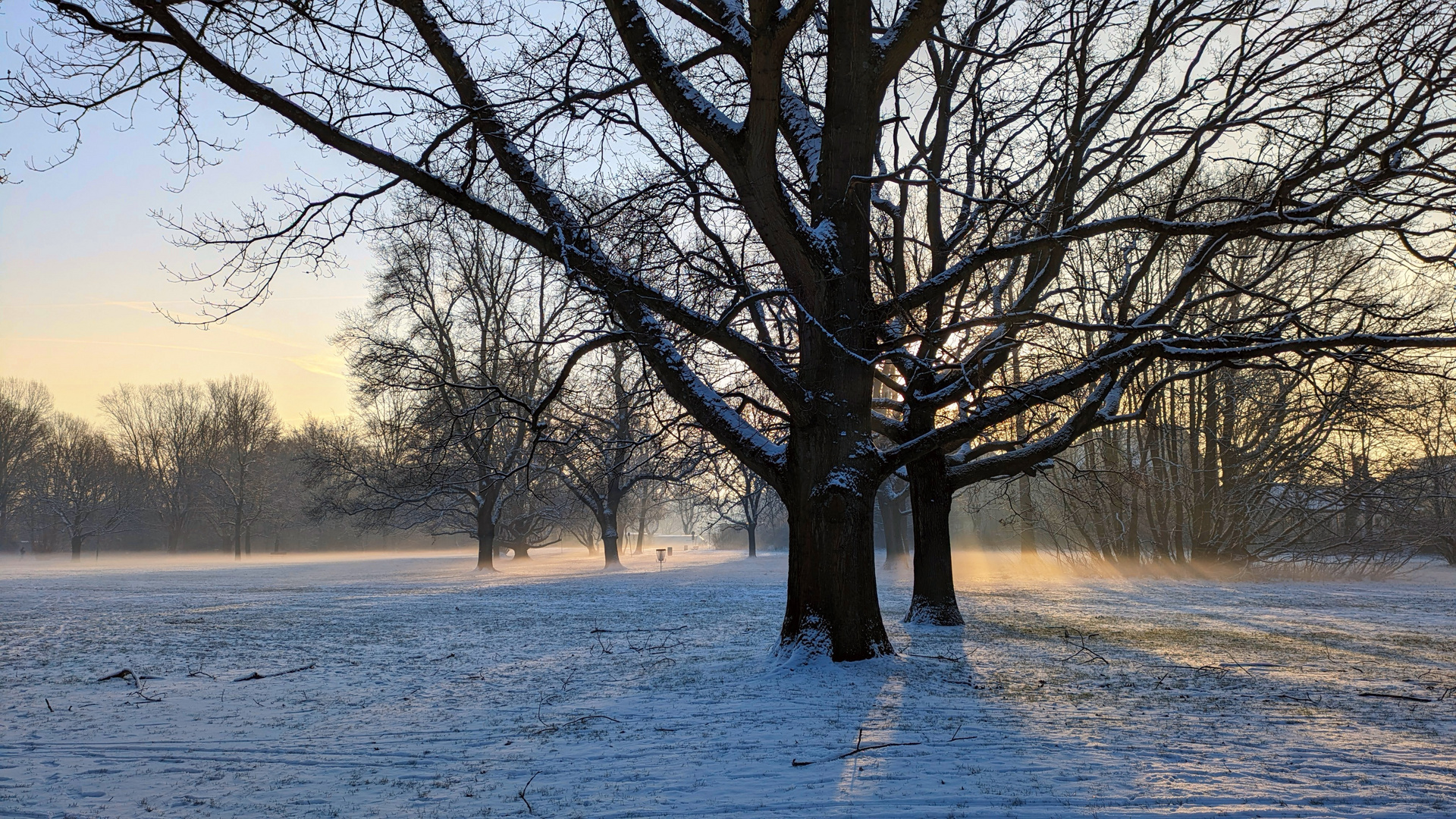 In der Wintersonne