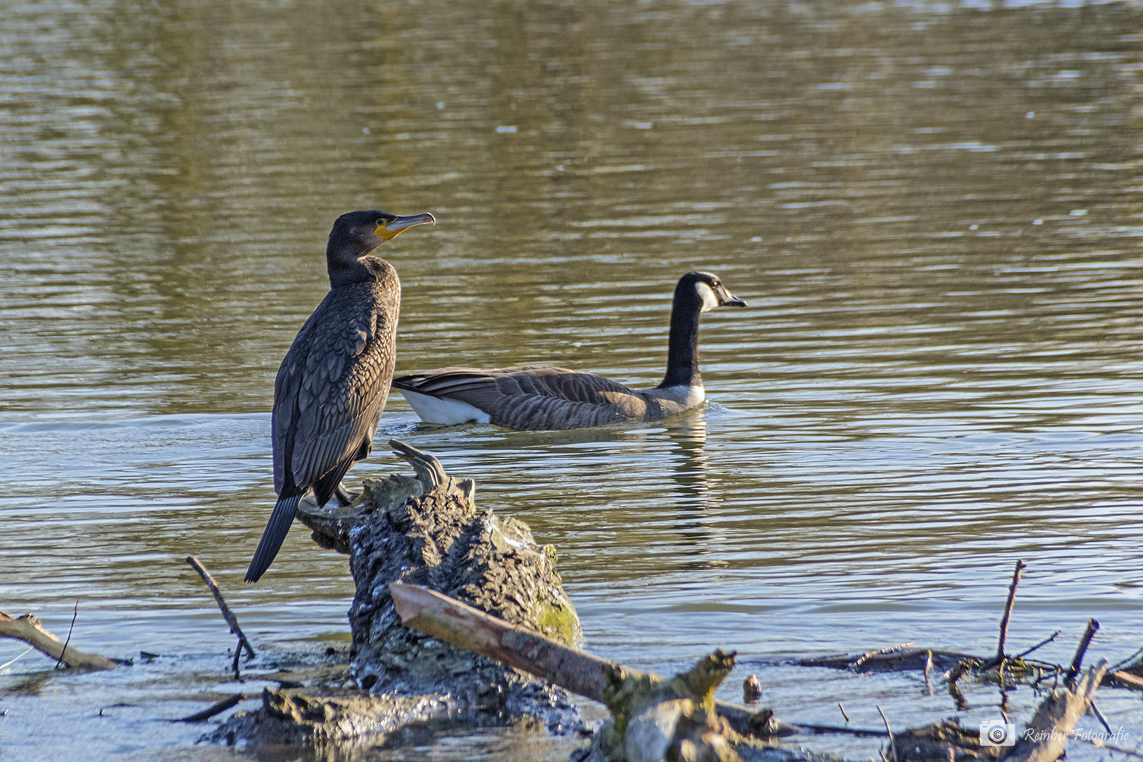 In der Wintersonne auf der Lippe