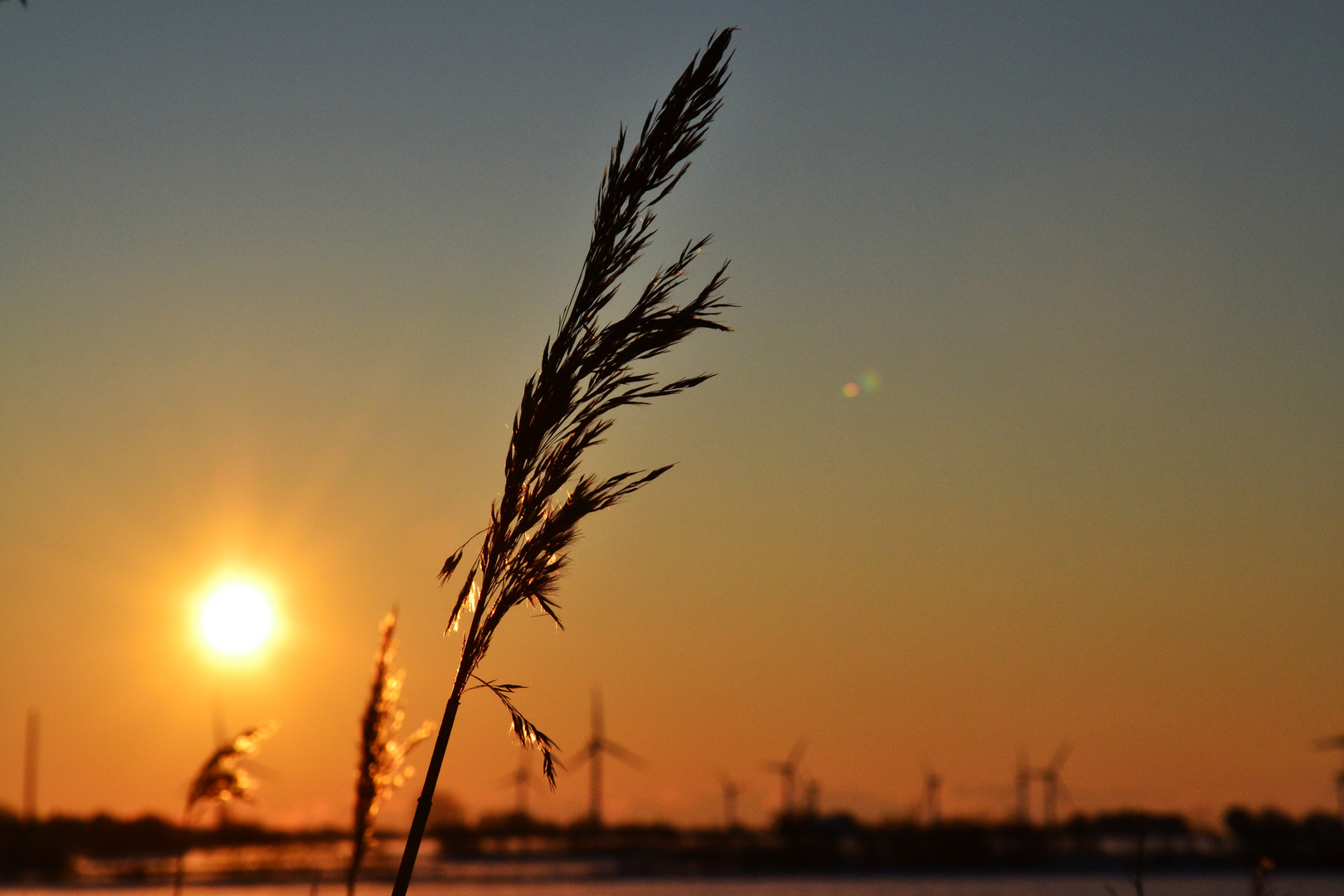 In der Wintersonne