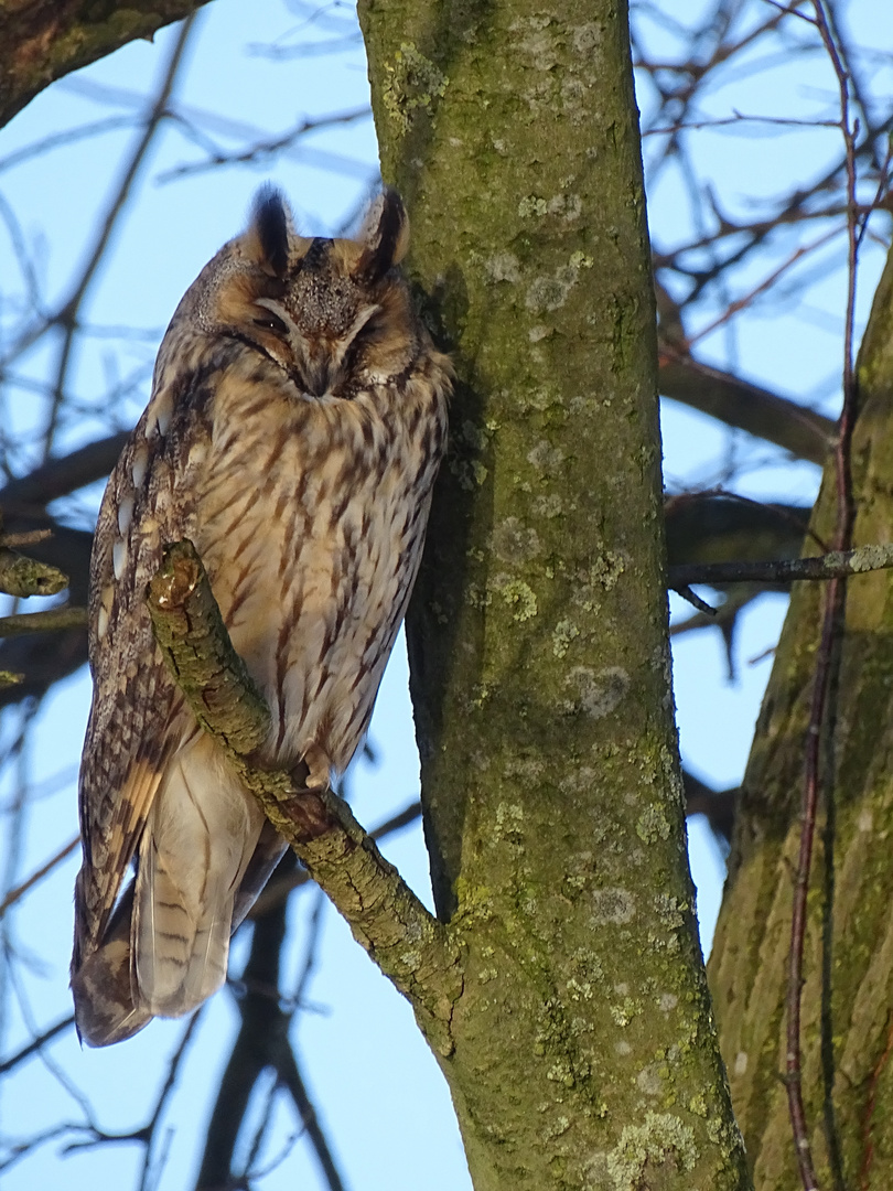 In der Wintersonne