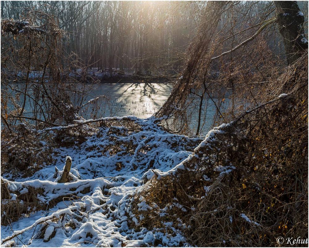 ... in der Wintersonne