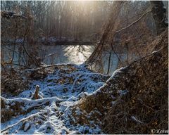 ... in der Wintersonne