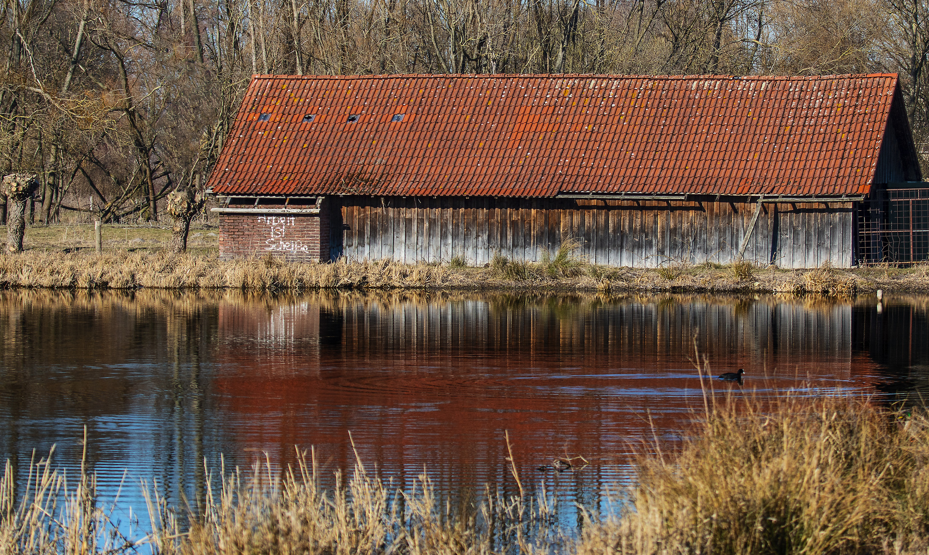 In der Woeste Foto & Bild projekte, 2 dienstag ist spiegeltag