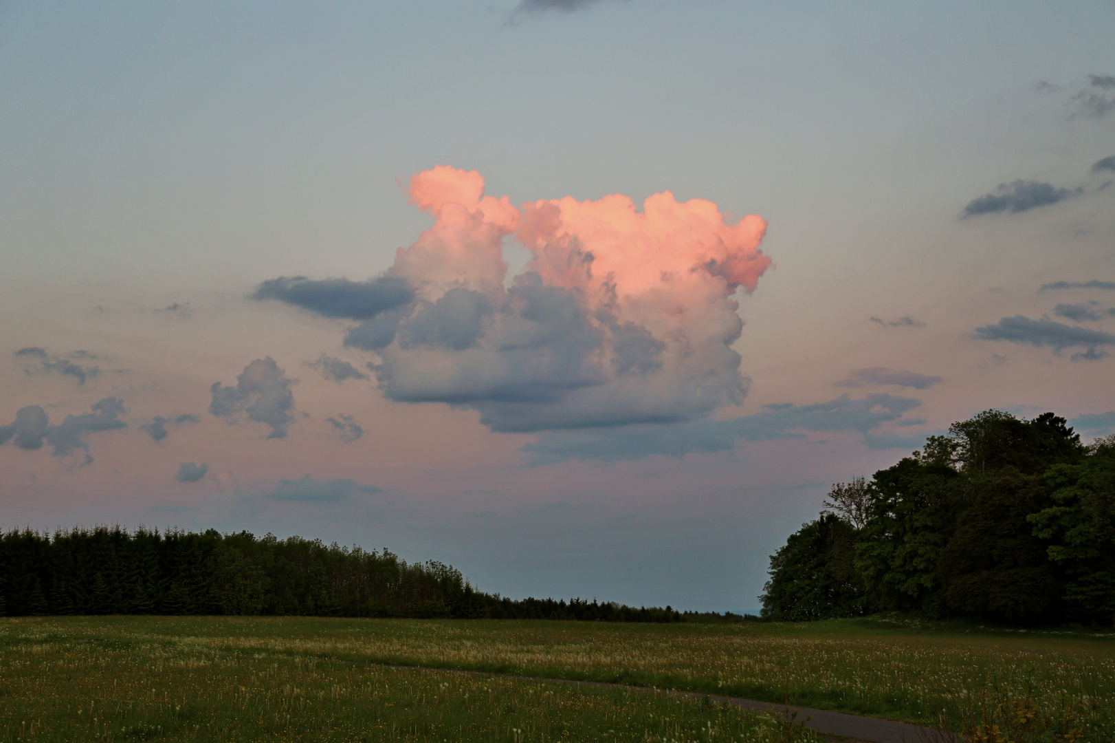 In der Wolke