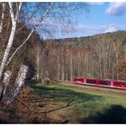 In der Wolkensteiner Schweiz