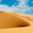 In der Wüste (1)
