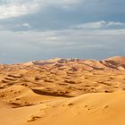 In der Wüste (2)