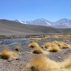 in der Wüste auf 5000m Höhe