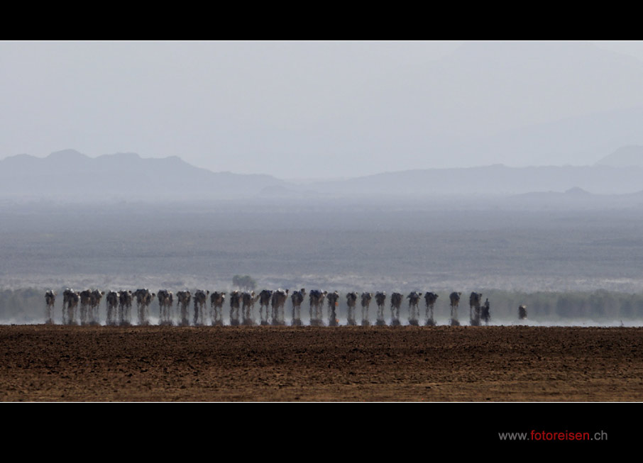 In der Wüste Danakil