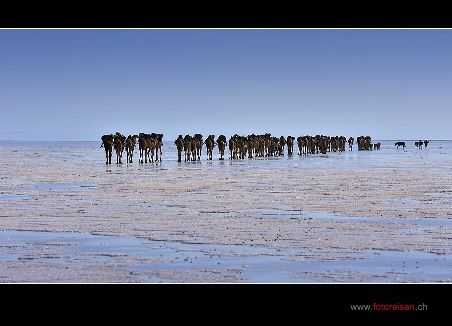 In der Wüste Danakil