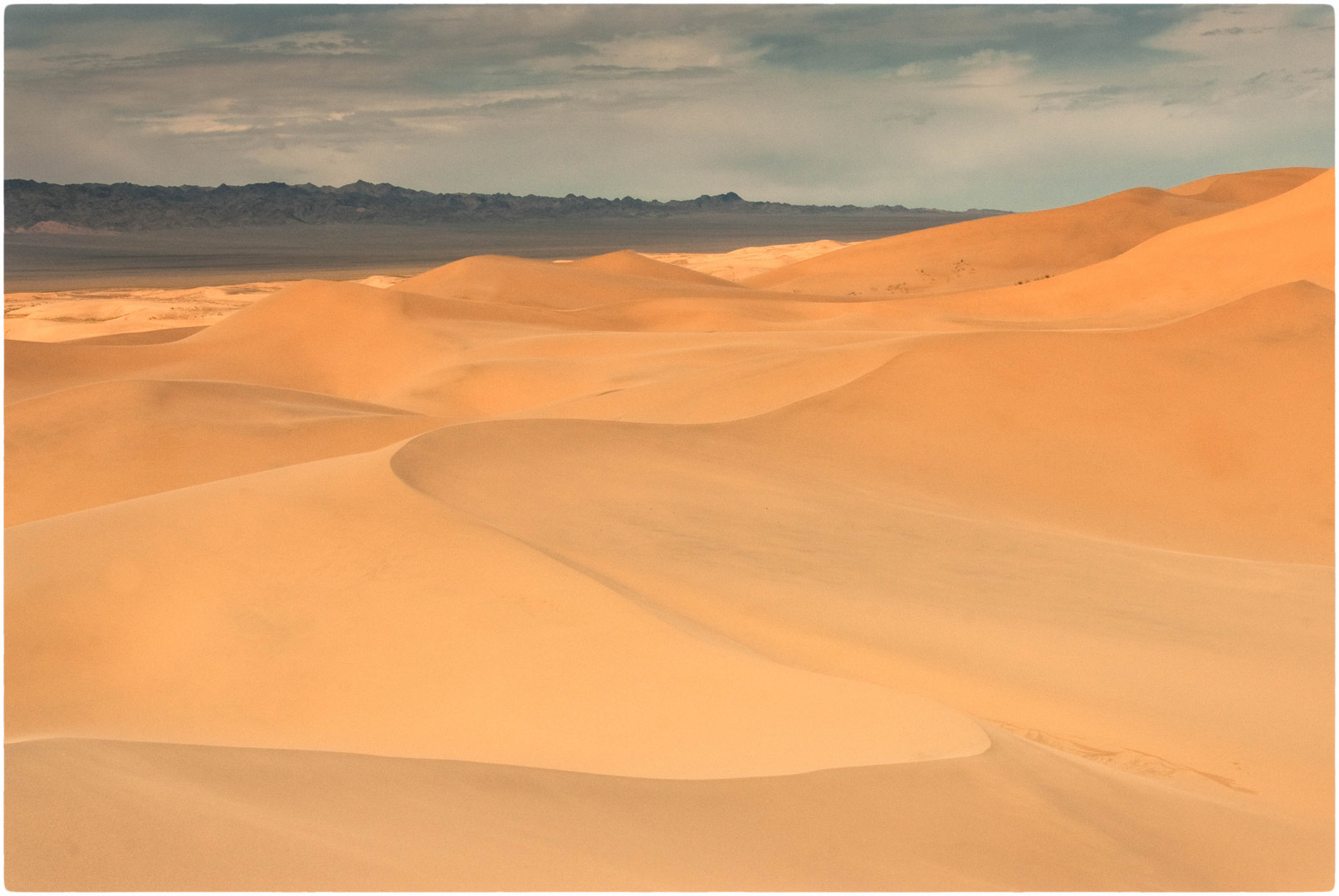 In der Wüste Gobi 