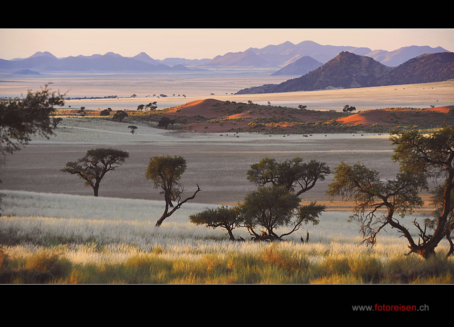 In der Wüste Namib