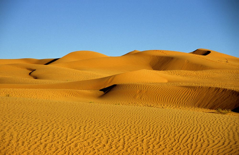 In der Wüste Rub-al-Khali